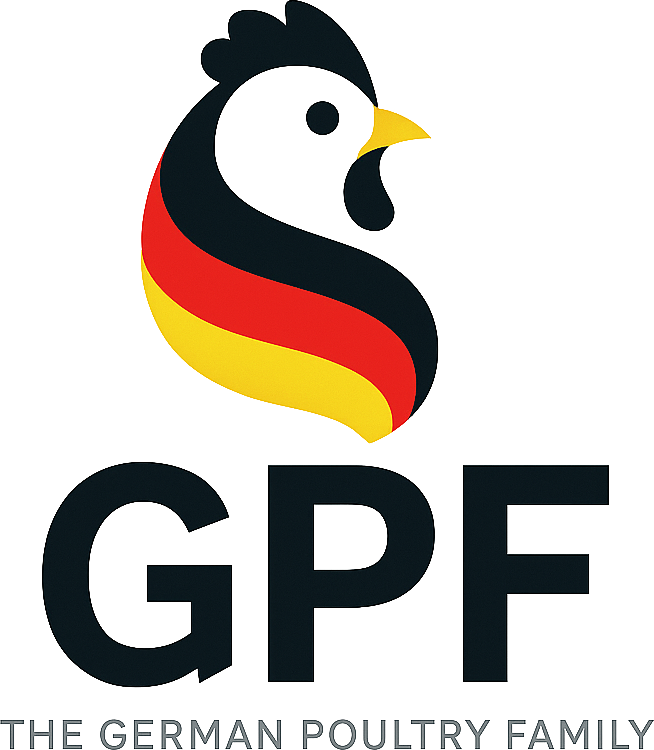g-p-f.com