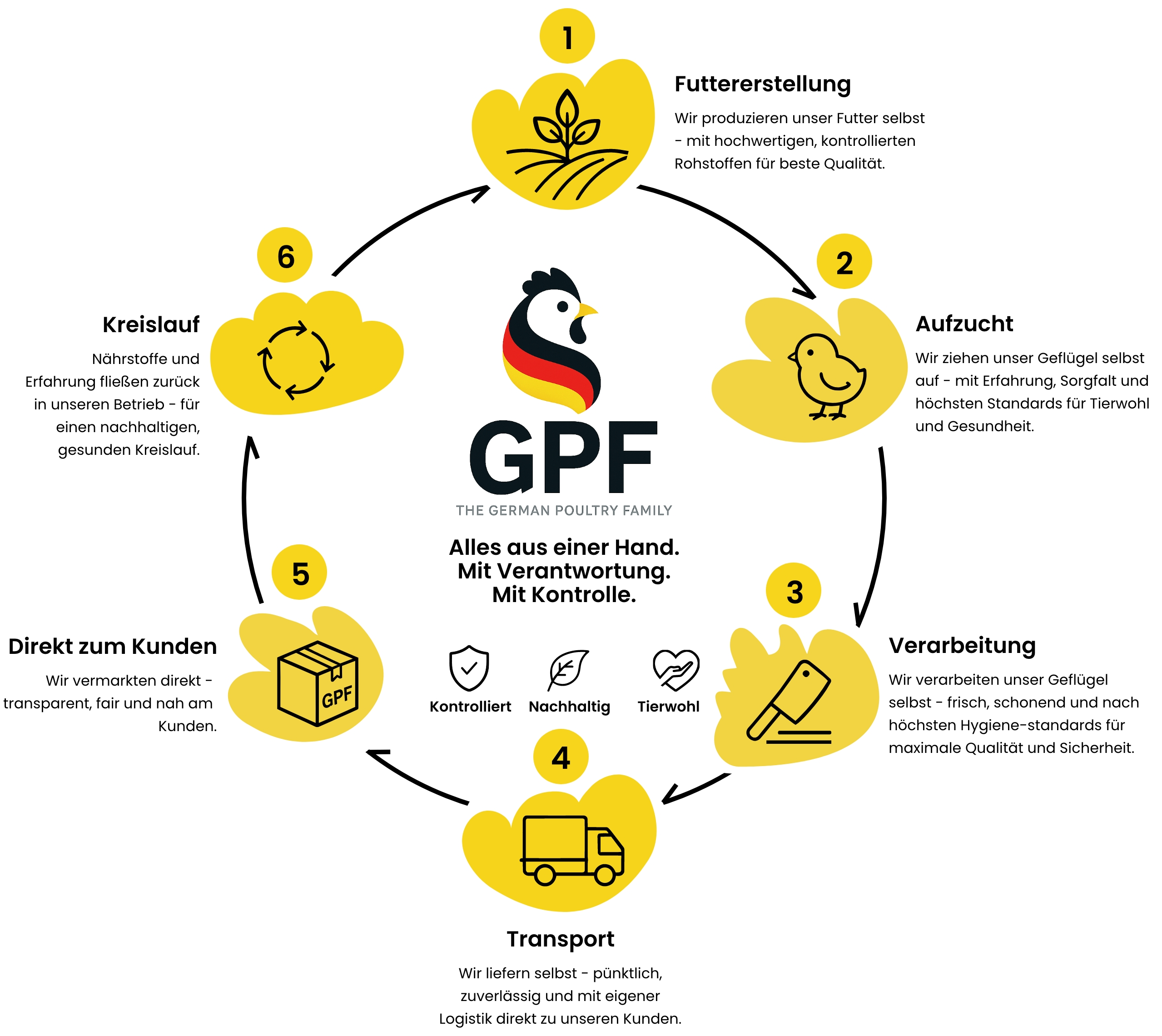 Wertschöpfungskreislauf der German Poultry Family (GPF) mit den sechs Schritten Futtererstellung, Aufzucht, Verarbeitung, Transport, Direktvermarktung und Kreislauf – kontrolliert, nachhaltig und mit Fokus auf Tierwohl.